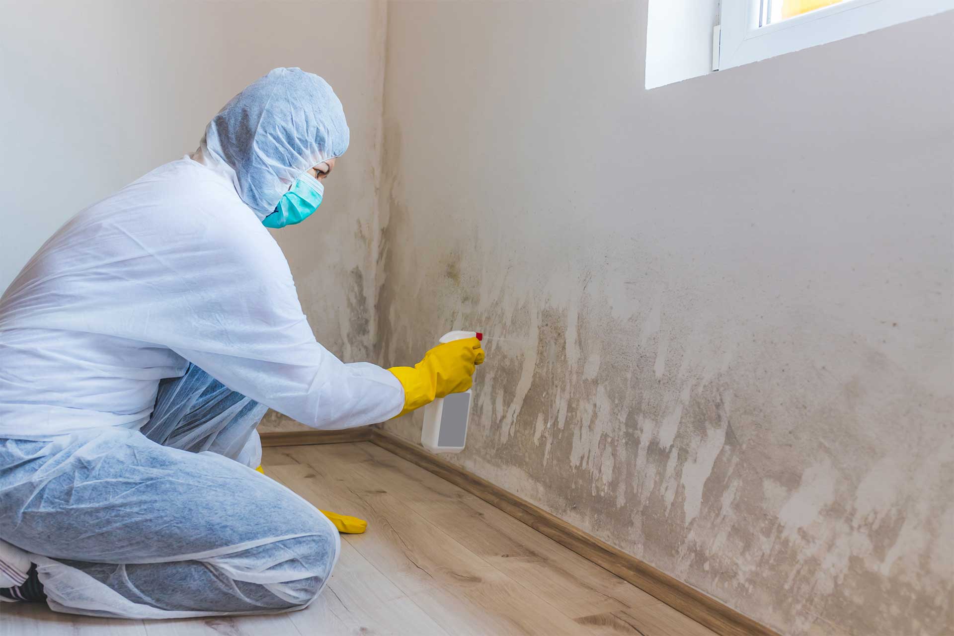 Professional Odor Removal & Cleaning in San Diego